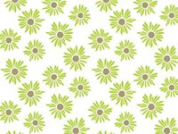 Green Painted Daisies Daisy Flowers Tissue Paper Gift Wrapping 20"x30" Sheets - 50ct