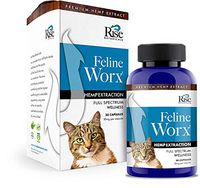 RISE Naturals Feline Hemp Oil Worx – SoftGel Capsules 300mg 30ct