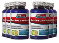 Garcinia - Garcinia Cambogia 1300 - Weight Loss Fat Burner for Women (6 Bottles 360 Capsules)
