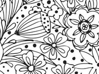 5ct Black White Doodle Flowers Floral Tissue Paper for Gift Wrapping 20"x30" Sheets nfLG -813