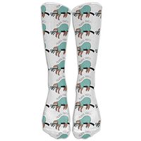 Macaulay Whitman Sloth Pajama Party Womens Novelty Knee High Socks