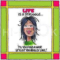 Hi-Look Microfiber Cleaning Cloth - Life is a Struggle