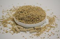 Yarrow Herb Cut
