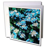3dRose Hydrangea - Greeting Cards, 6 x 6 inches, set of 6 (gc_3137_1)