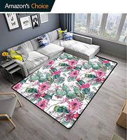Cactus Decor Paisley Door Mats Outdoor, Cactuses Spring Blooms Twigs and Arrows Composition Boho Chic Vintage Flora, Fashionable High Class Living Bedroom Rugs(2.5'x 9')