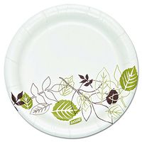 Dixie Ultra SXP6WS Pathways Soak Proof Shield  Heavyweight Paper Plates, 5 7/8" (Case of 500)