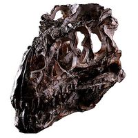 LXX Aquarium Decor Resin Emulational Skull Ornament Dinosaur Skull Model Imitation Skull Model Simulated Skeleton Home Office Display Decorative Craft Box Decoration