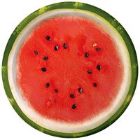 Creative Converting 8 Count Paper Dessert Plates, Watermelon Check