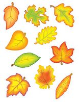 Teacher Created Resources Fall Leaves Accents Packs (4419)