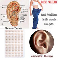 DMZ Ear Acupuncture(300PCS) Foot Care Magnetic Therapy Massage Pressing Ear Pressure Beans (Ear Patch(Magnetic Therapy))