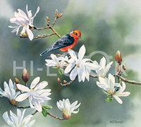 Hi-Look Microfiber Cleaning Cloth, bird design - Spring Garden