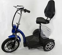 Stand and Sit Electric Folding Mobility Scooter