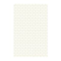 Swan SSST629601.010 Solid Surface Glue-Up 1-piece Shower Wall Panel, 0.25-in L X 62-in H X 96-in H, White