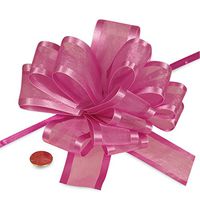 Hot Pink Arabesque Ribbon Bow, 6"