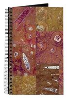 Unique Ancient Fossil [BLANK PAGES] Spiral Writing Gift Journal for Dinosaur Lovers Geologists Writers Ocean Lovers - Terracotta Collage - 160 Pages + 60lb Paper
