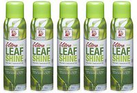 Design Master 659 Sprays, Ultra Leaf Shine (5-(Pack))