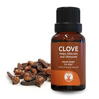GuruNanda Essential Oil Single (Clove, 1)