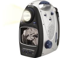 GPX Weather X TVWB534 All-in-one 5 inch Black & White TV, with AM/FM Radio and Instant Weatherband (Discontinued by Manufacturer)