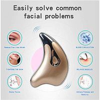 Whale Electric Vibration Beauty Board