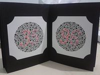 Ishihara 0174 Test Chart Books, for Color Deficiency