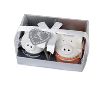 FidgetKute Pair of Cute Couple Pigs Ceramic Salt Pepper Shakers Set Wedding Favor Gifts Show One Size