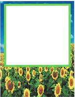 Sunflower Floral Stationery Printer Paper 26 Sheets