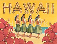 Hi-Look Microfiber Cleaning Cloth - Hawaii