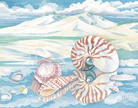 Hi-Look Microfiber Cleaning Cloth - Shoreline Nautilus