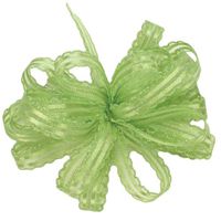 Offray Kendra Craft Ribbon, 5/8-Inch Wide by 25-Yard Spool, Lime/Opal