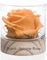 Sustainable Home Scent 12 oz A Real Fragrance Flower with Lasting abilities Similar to Scented Candle, Wax and Aroma Diffuser?Fill Your Home with Fragrance