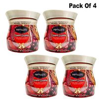 Renuzit Scents Swirls Odor Neutralizer, Winter Apple, Cinnamon & Spiced Cranberry Air Freshener (Pack Of 4)
