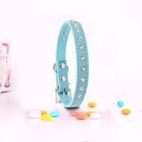 EASTOP Pet's House Dog Collars for Small Dogs Prime (XS, Blue)