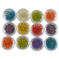 Nail Art Tool,Putars Women Portable Mixed Dried Flowers 3D Nail Art DIY Bottle Decoration Flower Manicure Tips DIY White