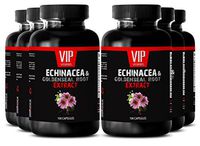 Herbs for health - ECHINACEA AND GOLDENSEAL ROOT EXTRACT - Anti oxidant supplement - 6 Bottles 600 Capsules