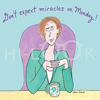 Hi-Look Microfiber Cleaning Cloth - DonÕt expect Miracle on Monday