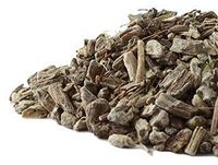 Echinacea Angustifolia Root c/s