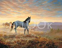 Hi-Look Microfiber Cleaning Cloth - Dust at Dawn