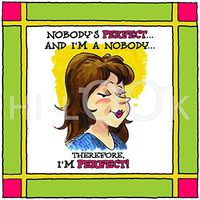 Hi-Look Microfiber Cleaning Cloth - Nobody's Perfect