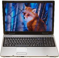 Gateway M680XL PM CENTRINO 17" Laptop Notebook PC (Centrino 2.1GHz, 2GB RAM/80GB HDD, CDRW-DVD Combo, 4 in 1 Card Reader, 802.11b/g Wireless, WXP PRO)