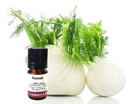 Fennel 100% Pure Essential Oil 20ml