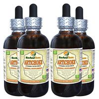 Artichoke (Cynara scolymus) Tincture, Organic Dried Leaf Liquid Extract (Brand Name: HerbalTerra, Proudly Made in USA) 4x4 fl.oz (4x120 ml)