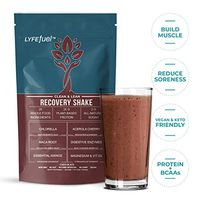 Post-Workout Recovery Shake by LYFE Fuel | All-in-One Sports Nutrition Drink for Rapid Muscle Replenishment | 25g Plant Based Protein Powder + Essential Amino Acids & Key Nutrients (Chocolate - 1 lb)