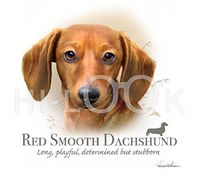 Hi-Look Microfiber Cleaning Cloth, dog design - Red Smooth Daschund