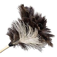 Boardwalk 13FD Professional Ostrich Feather Duster 7-Inch Handle