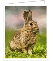 Clover the Rabbit- Set of 6 Blank Notecards By Doggylips