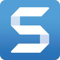 Snagit 2020 - Screen Capture & Image Editor [PC/Mac Online Code]