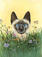 Hi-Look Microfiber Cleaning Cloth, cat design - Bee-Wildered