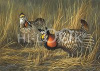 Hi-Look Microfiber Cleaning Cloth - Prairie Chicken
