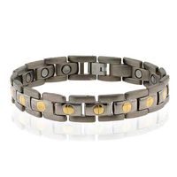 12.5mm Titanium Magnetic Therapy Bracelet Two-Tone 8.5 Inches SPJ