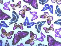 'NUGGLEBUDDY NEW! Microwaveable Moist Heat & Aromatherapy Organic Rice Pack. Lovely" Snow Butterfly" Fabric. UNSCENTED!. The Perfect Gift!